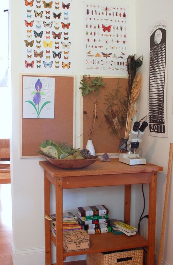 Introduzione alla Botanica col metodo Montessori